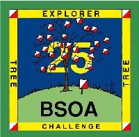Image of 25 point Tree Award