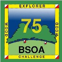 Image of 75 point Wood Award